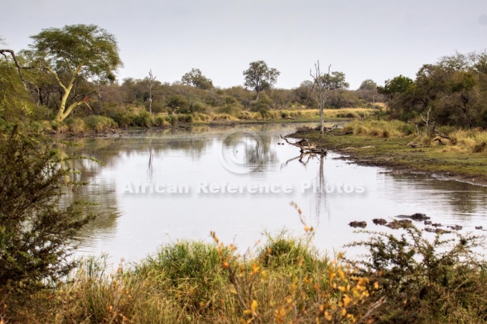 Kruger Park Scenic
