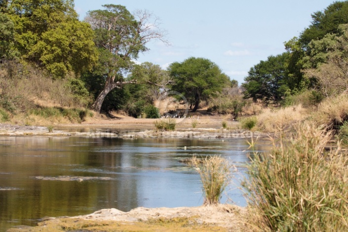 River scene, Kruger National Park