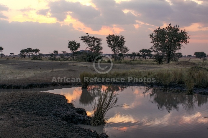 Serengeti Scenic