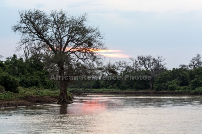 Mashatu Game Reserve Scenic