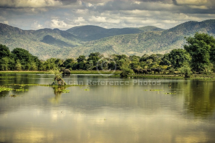 Zambezi River and Surrounds