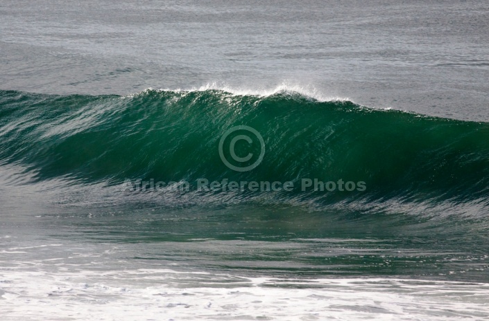 Seascape of Wave Forming