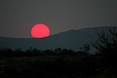 Red Sun at Sunset