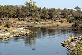 Kruger Park Scenic