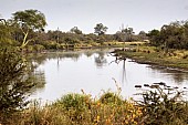 Kruger Park Scenic