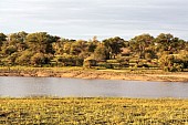 Kruger Park Scenic