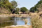 River scene, Kruger National Park