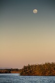 Full Moon over Zambezi River