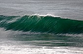 Seascape of Wave Forming