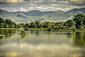 Zambezi River and Surrounds