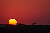 African Sunset, Botswana