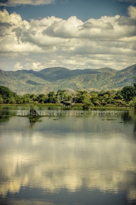 Zambezi River and Surrounds
